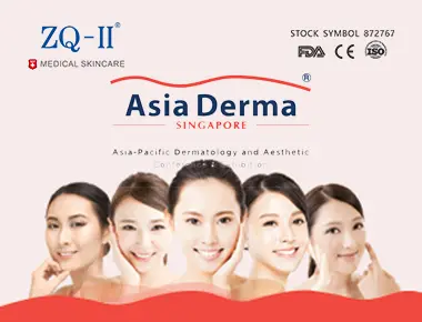 Pameran Singapura 12.5-7